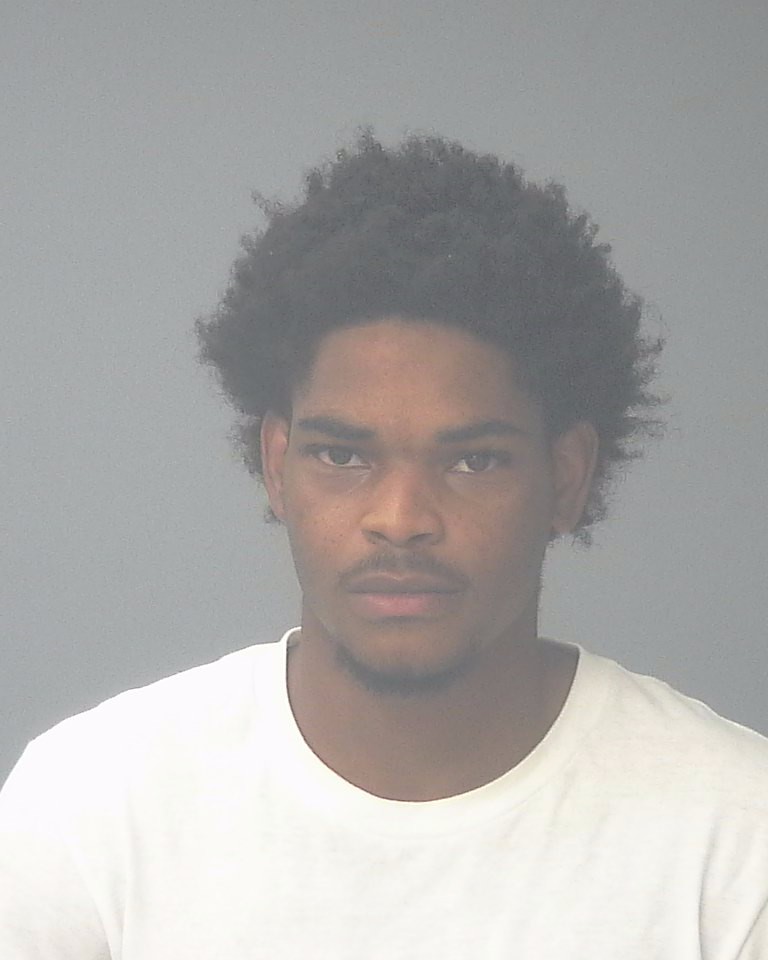 Booking photo of Alaisjah Perkins