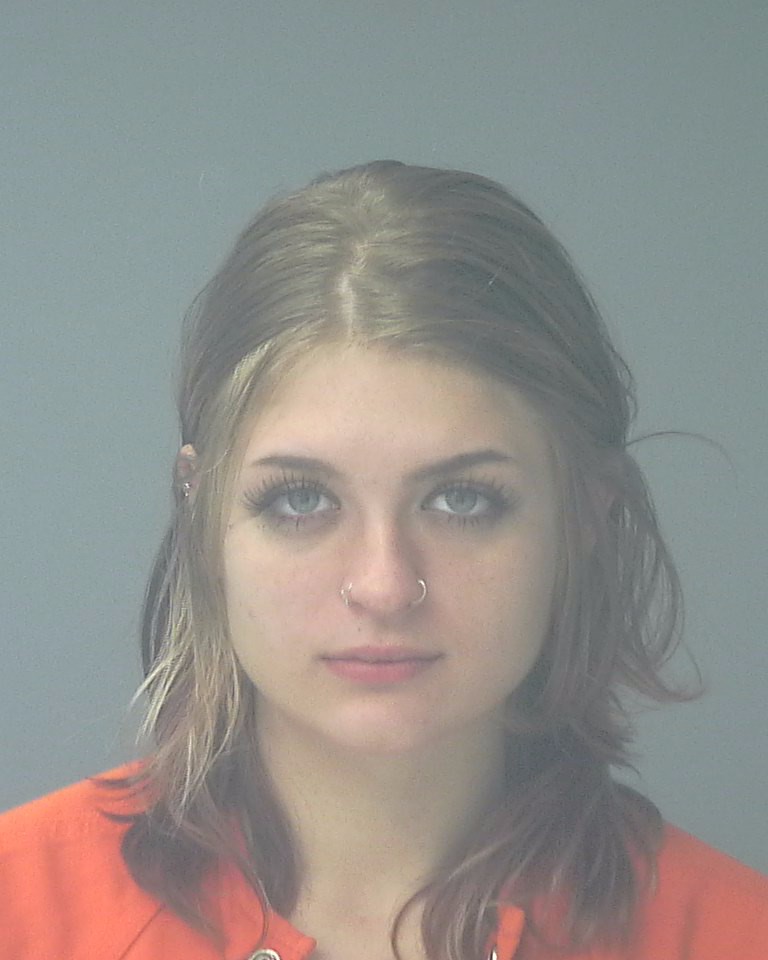 Booking photo of Tagan Greenfield