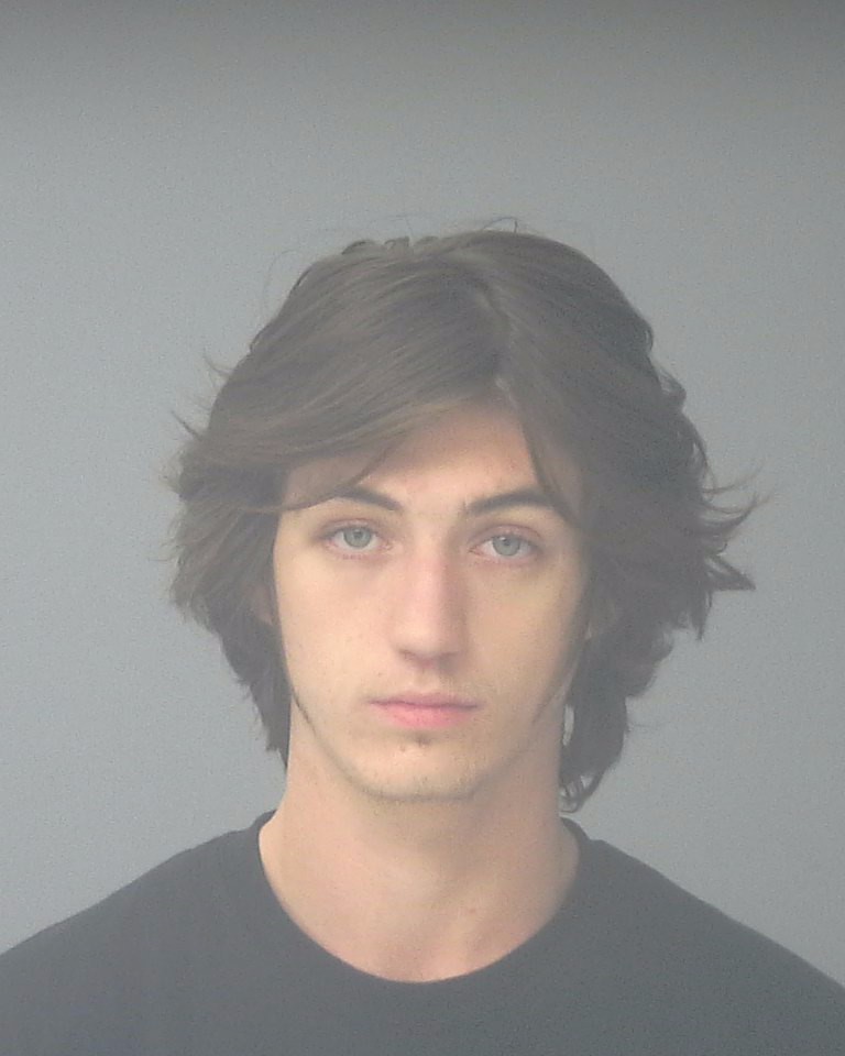 Booking photo of Andrew Lewis