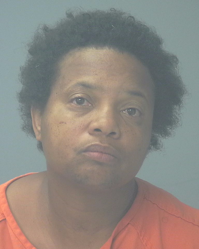 Booking photo of Sandra Bell
