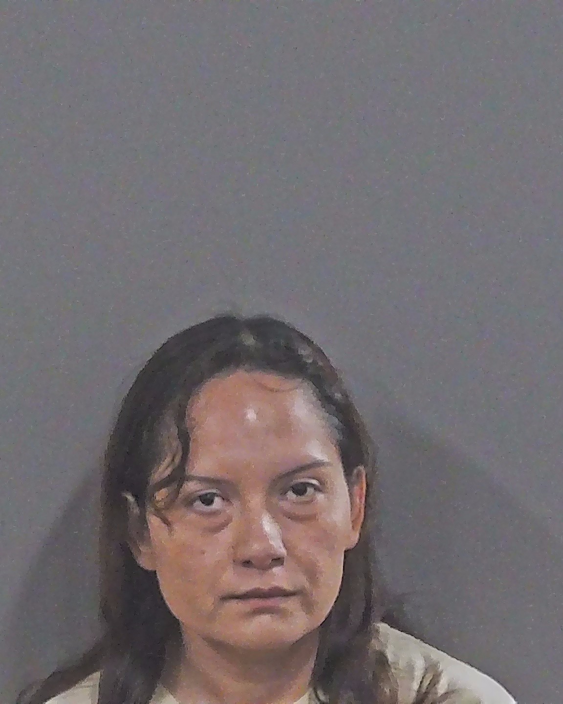 Booking photo of Jaclyn Brinning