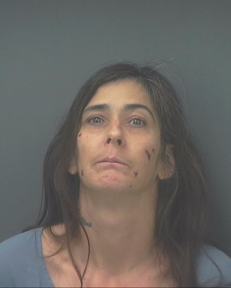 Booking photo of Misty Bushnell