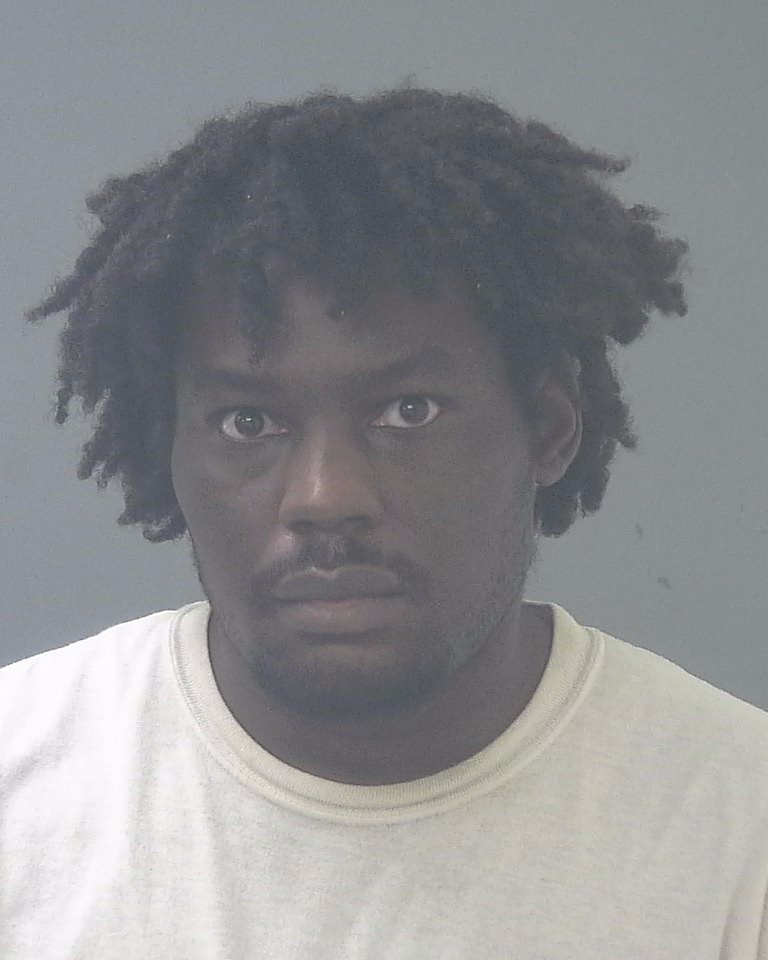 Paris Anderson booking photo