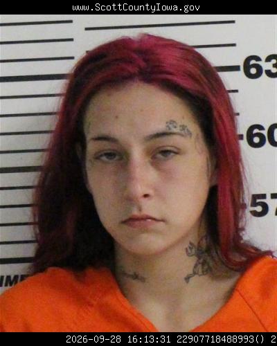 Booking photo of Allison Anderson