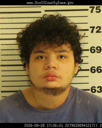 Booking photo of Brant Apa