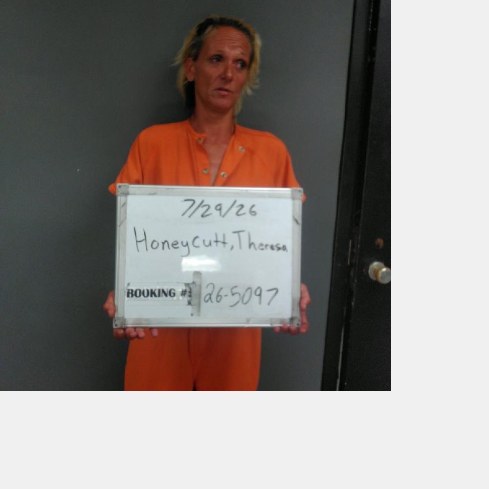 Booking photo of Theresa Honeycutt