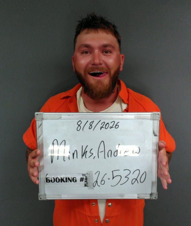 Booking photo of Andrew Minks