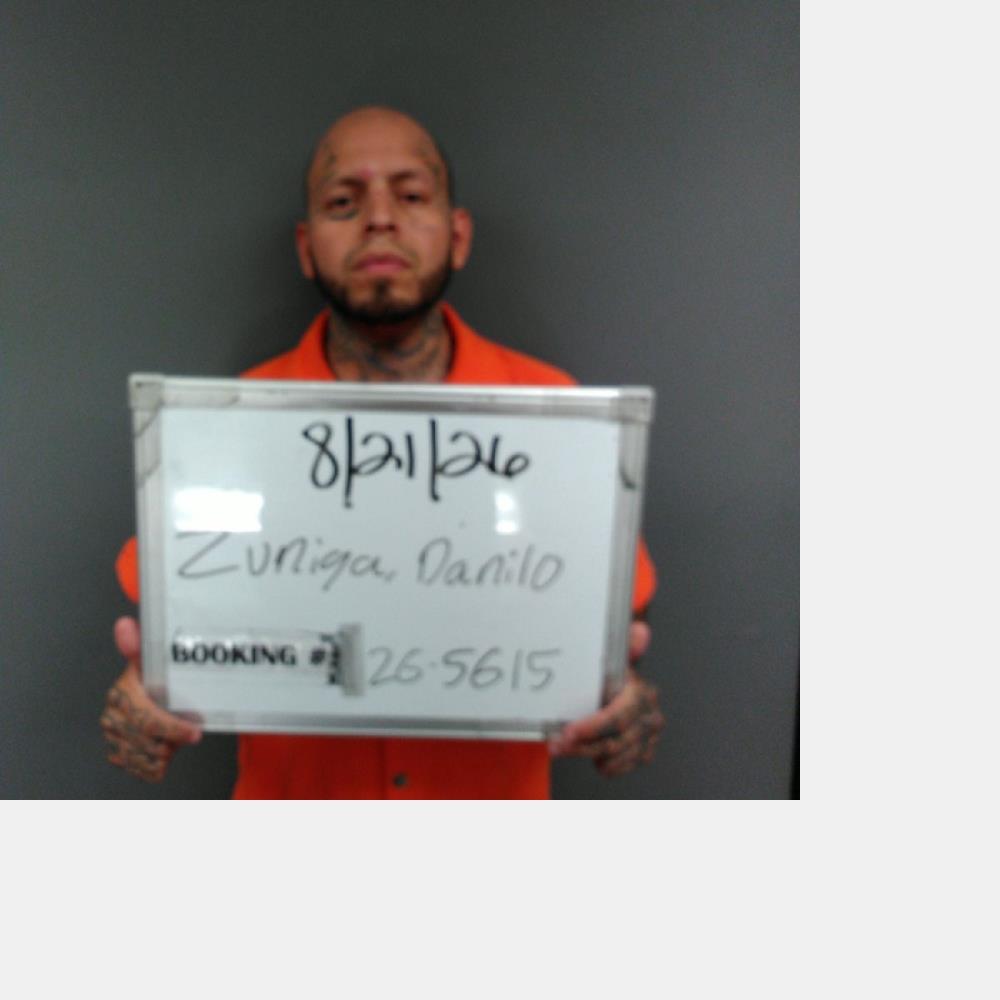 Booking photo of Danilo Zuniga