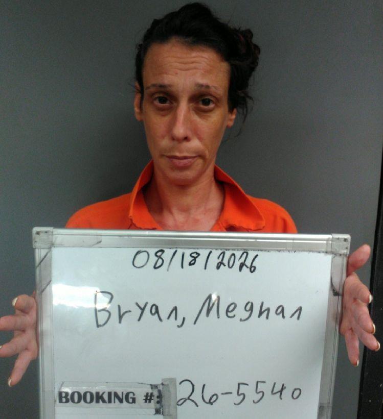 Booking photo of Meghan Bryan