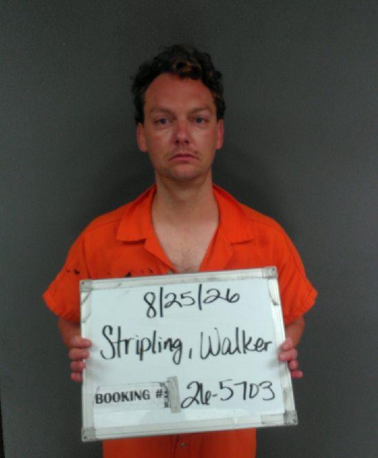 Booking photo of Walker Stripling
