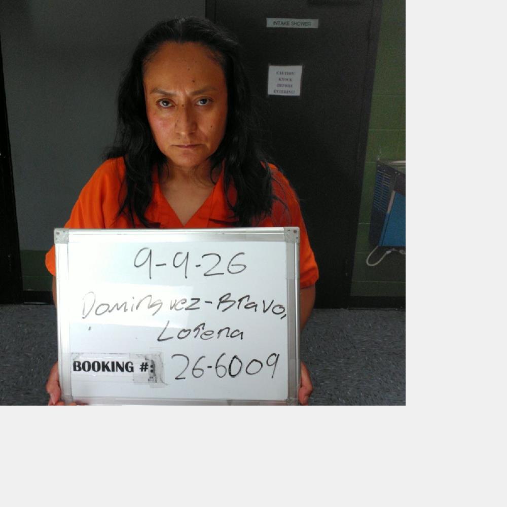 Booking photo of Lorena Dominguez-bravo