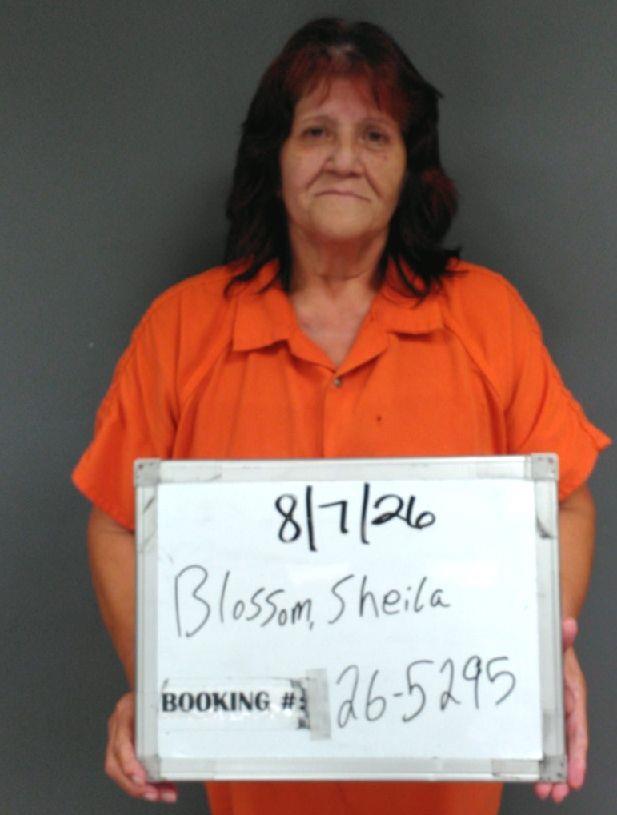Booking photo of Sheila Blossom