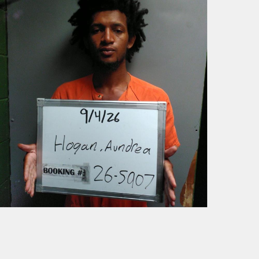 Booking photo of Aundrea Hogan