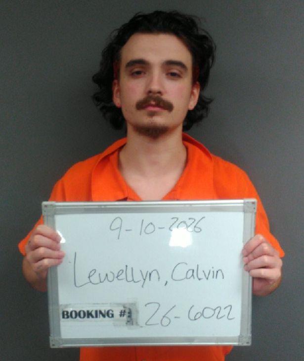 Booking photo of Calvin Llewellyn
