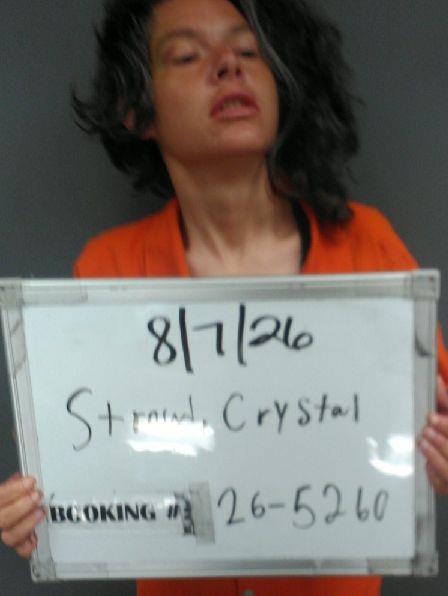 Booking photo of Crystal Stroud