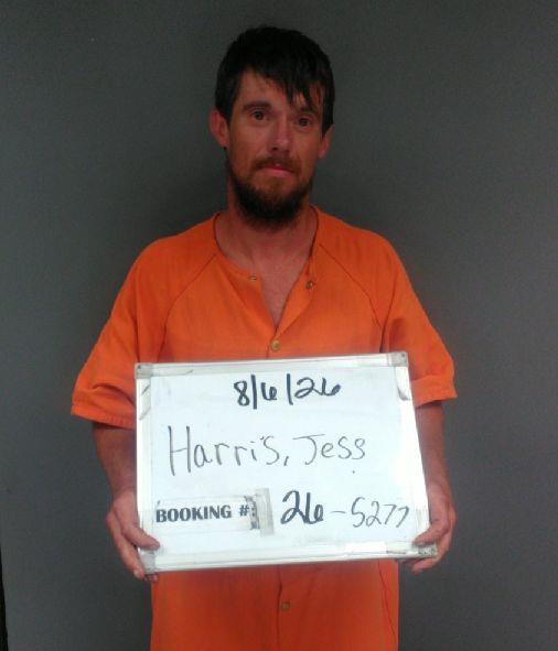 Booking photo of Jess Harris