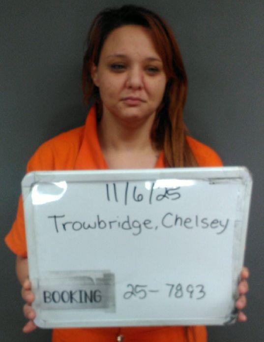Booking photo of Chelsey Trowbridge