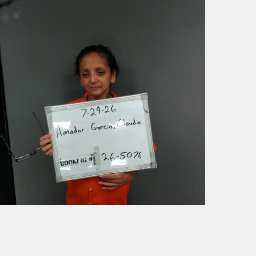 Booking photo of Claudia Amador-garcia