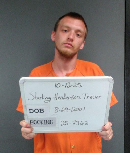 Trevor Starling-henderson booking photo