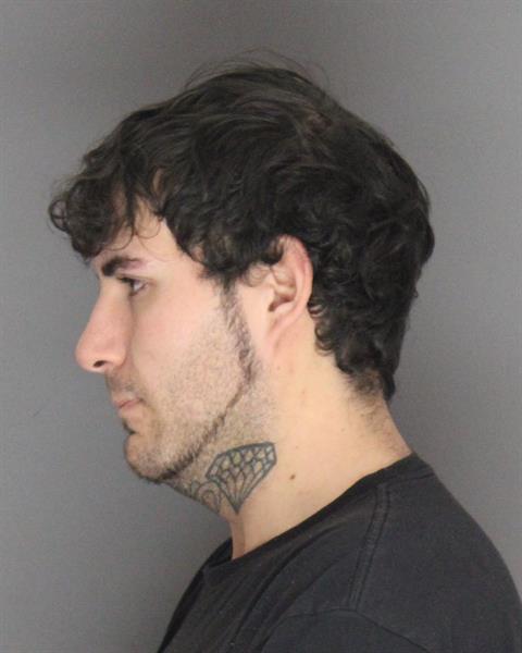 Daniel Chain booking photo