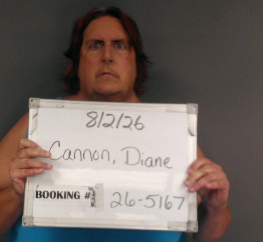 Booking photo of Diane Cannon