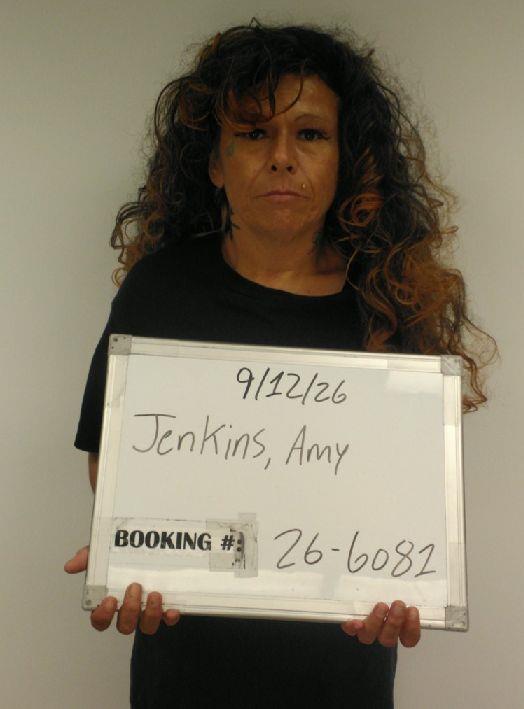 Amy Jenkins booking photo