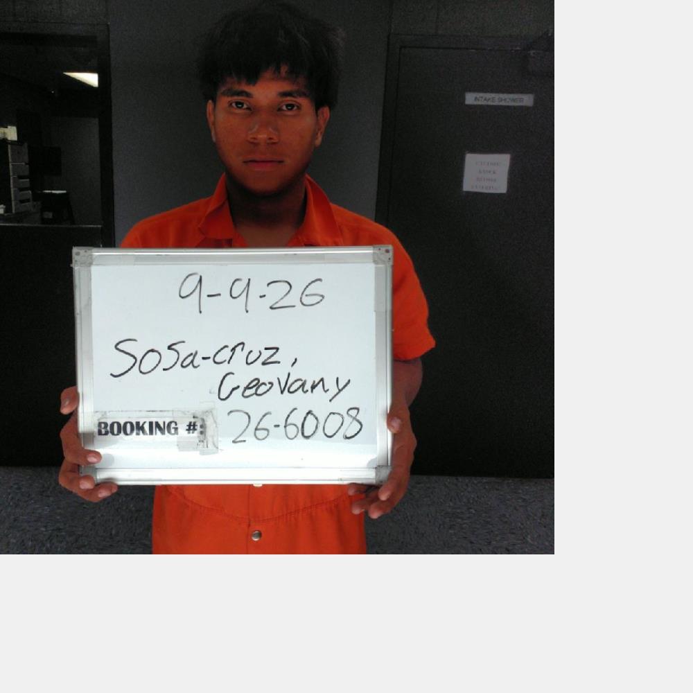 Booking photo of Geovany Sosa-cruz