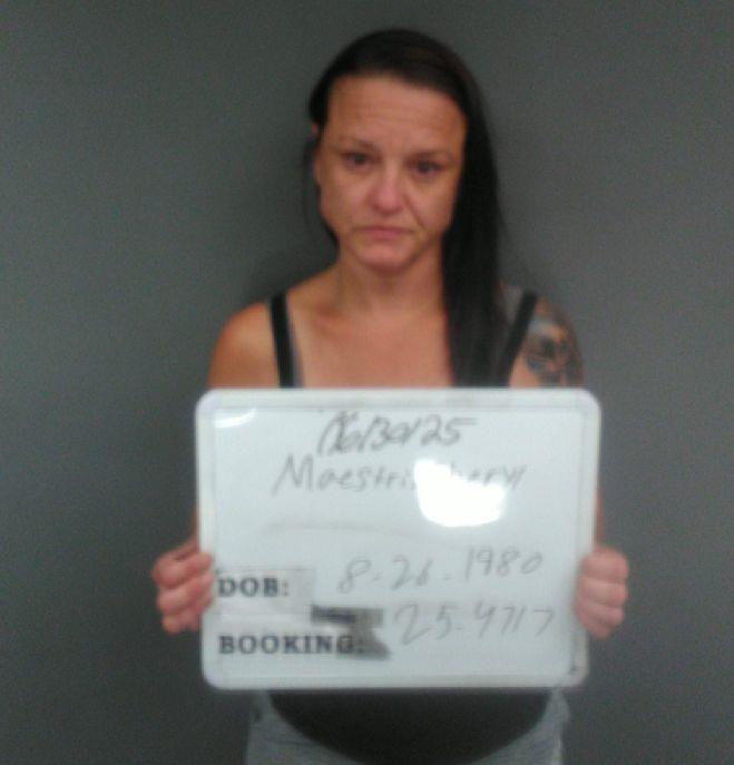 Cheryl Maestri booking photo