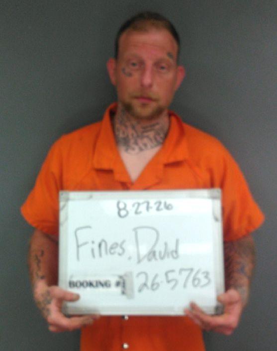 Booking photo of David Fines