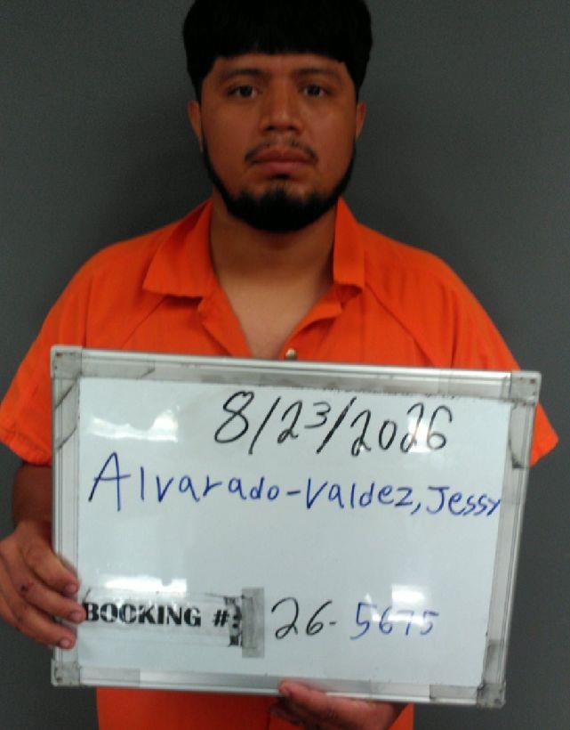 Booking photo of Jessy Alvarado-valdez