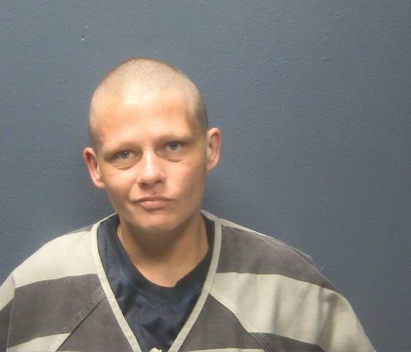 Booking photo of Amber Dahm