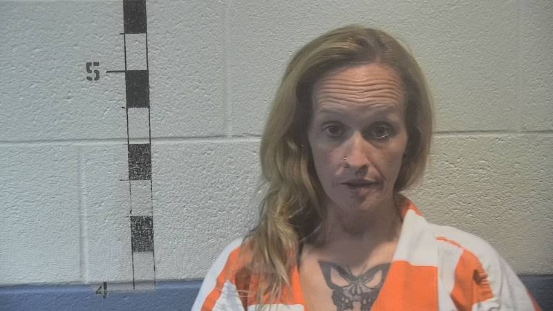 Booking photo of Brittany Bray