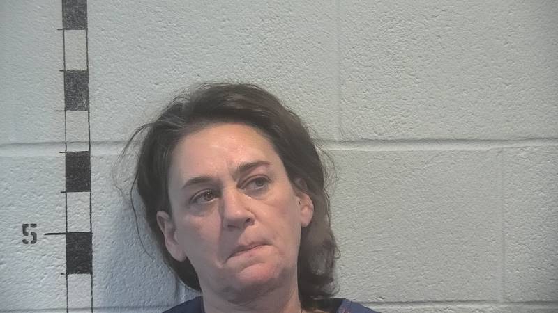Booking photo of Brandi Harlamert