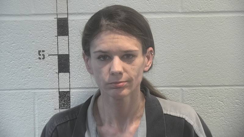 Booking photo of Lindsey Jones