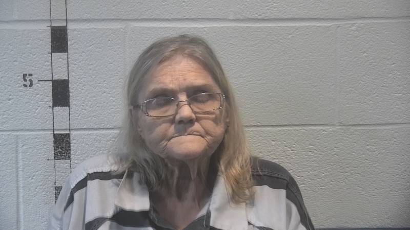 Booking photo of Joan Chesser