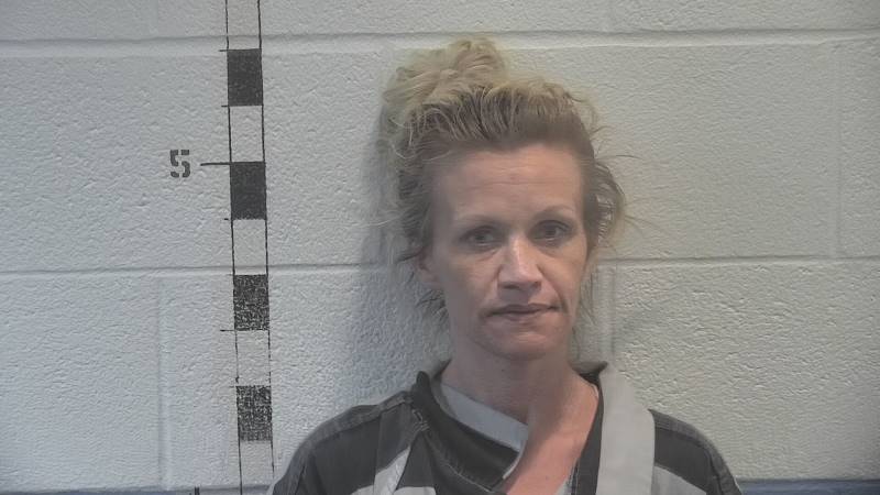 Booking photo of Amanda Borders