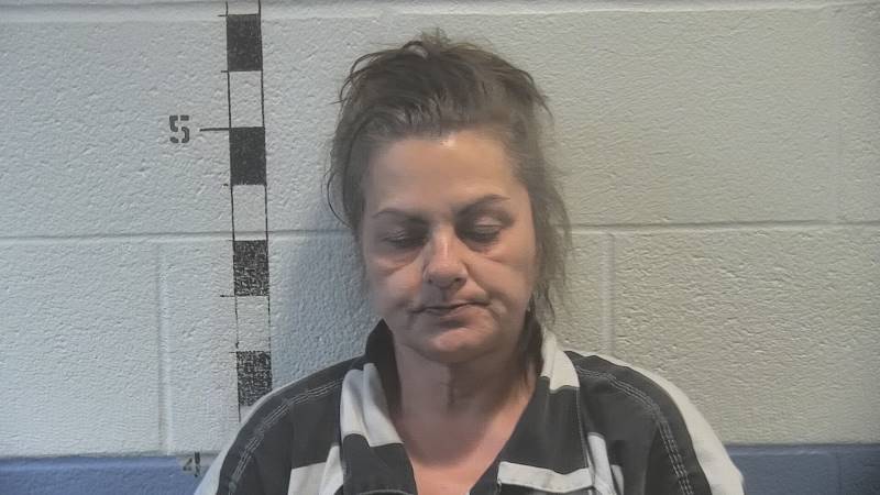 Booking photo of Carole Thompson