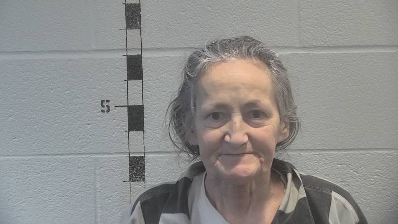 Booking photo of Andrea Carroll