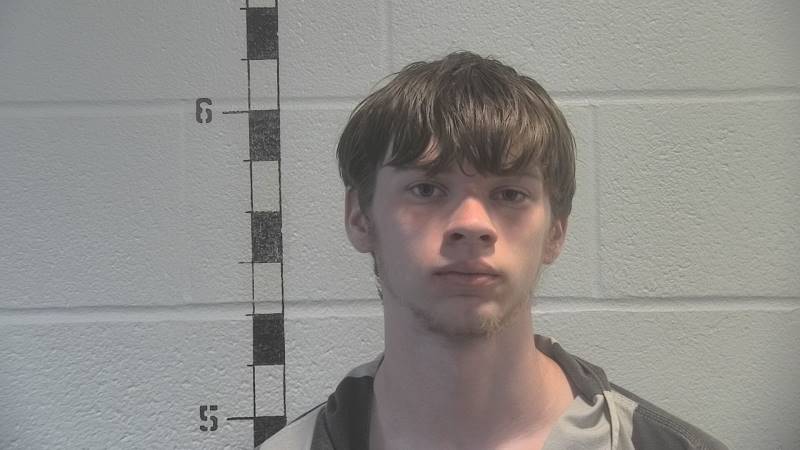 Booking photo of Ellis Leslie