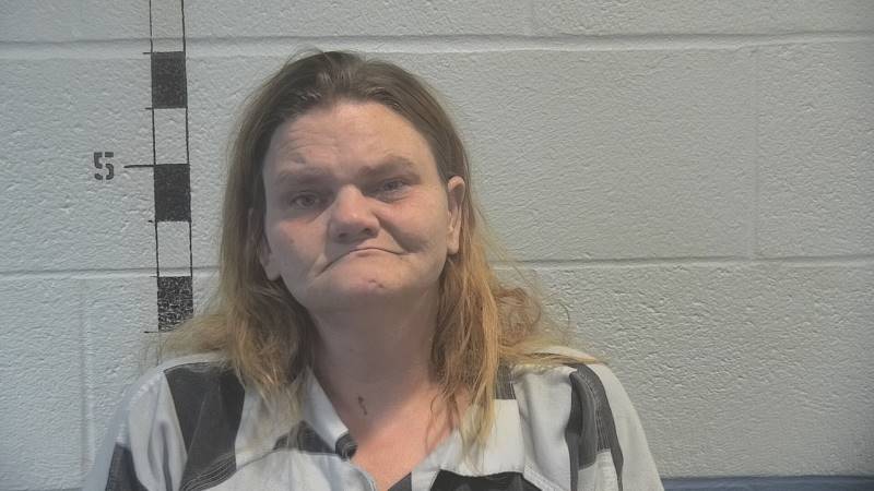 Booking photo of Tabitha Barnes