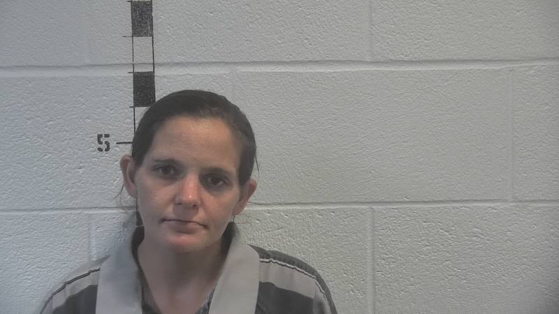 Booking photo of Cheyanne Spencer