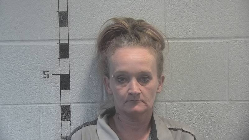 Booking photo of Brenda Maddox