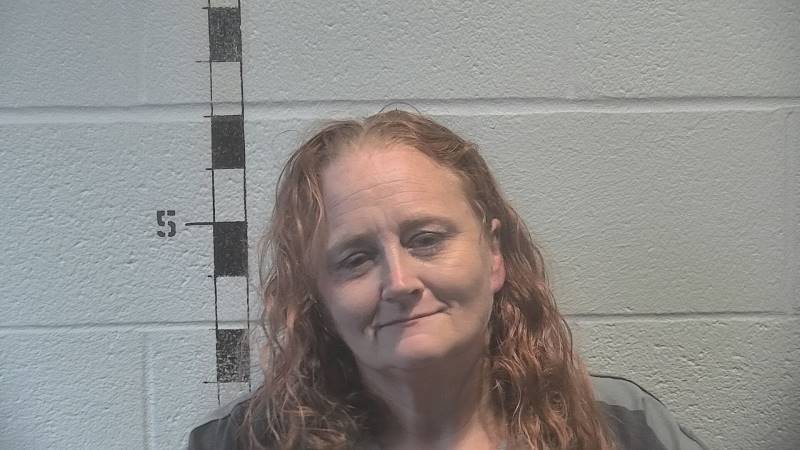 Booking photo of Kimberly Peterson