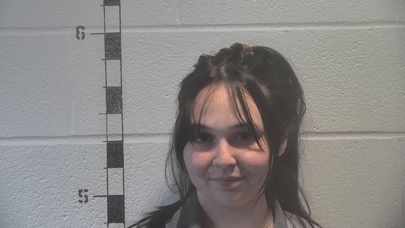 Booking photo of Adylin Hawkins