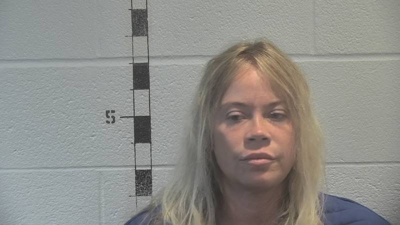 Booking photo of Amy Lynch