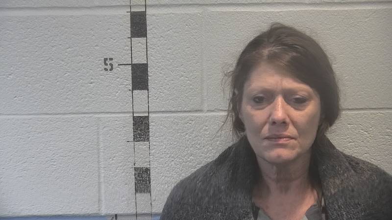 Booking photo of Cynthia Hileman