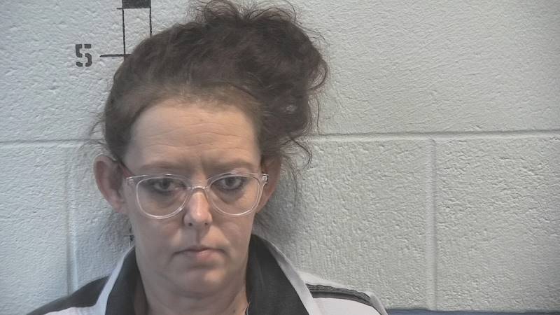 Booking photo of Tonya King