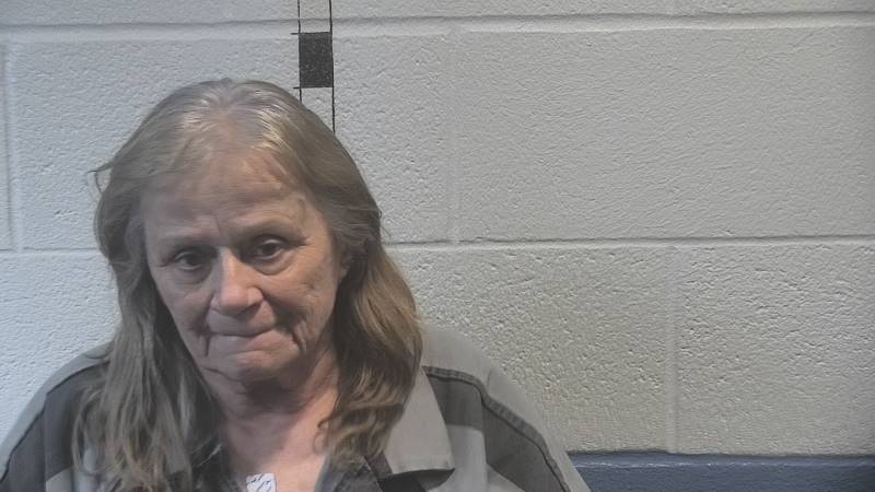 Booking photo of Janet Rapier