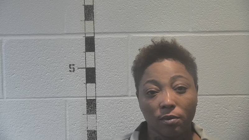 Booking photo of Cinaerlita Hughes