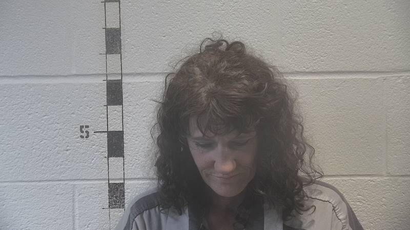 Booking photo of Dana Torrey